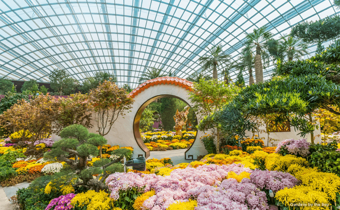 Gardens By The Bay