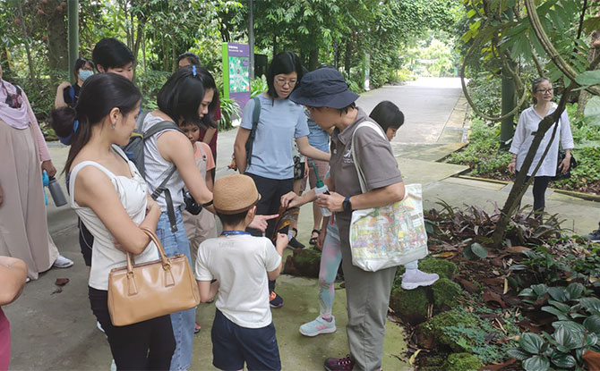 A Sensory Stroll: Touch Me if You Dare @ Gardens by the Bay