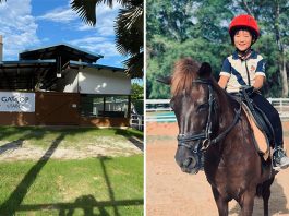 Gallop Stable @ Downtown East: Horse & Pony Rides, Stable Tours At The Doorstep Of D'Resort