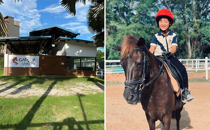Gallop Stable @ Downtown East: Horse & Pony Rides, Stable Tours At The Doorstep Of D'Resort