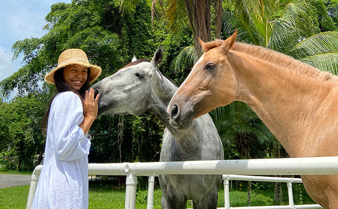 Horses at Gallop Stable @ Downtown East