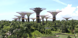 Gardens by the Bay