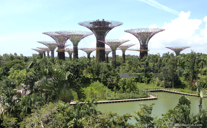 Gardens by the Bay