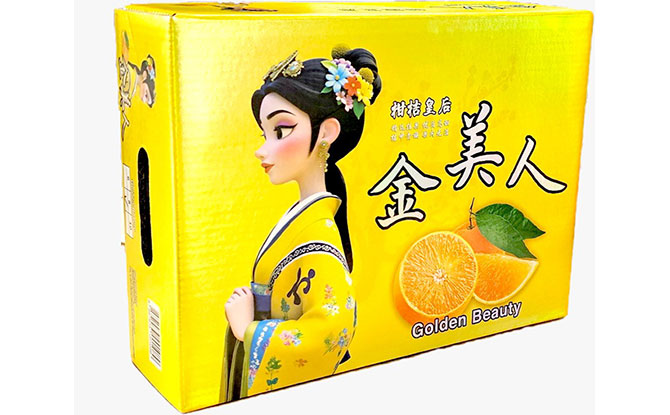 Chinese New Year Gifts & Goodies: Ideas For Friends & Family 2026 1 Gift-worthy Mandarin Oranges at FairPrice