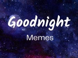 30 Best Good Night Memes To Share With Your Friends & Family