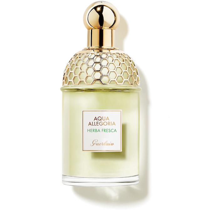 Guerlain Aqua Allegoria Herba Fresca