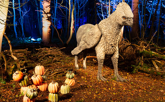 Harry Potter: A Forbidden Forest Experience Is Coming To Singapore Harry Potter: A Forbidden Forest Experience Is Coming To Singapore
