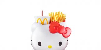 Hello-Kitty-Carrier