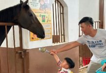 Things To Do This Weekend In Singapore: 14 & 15 February 2026 Things To Do This Weekend In Singapore: 14 & 15 February 2026