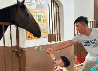 Things To Do This Weekend In Singapore: 14 & 15 February 2026