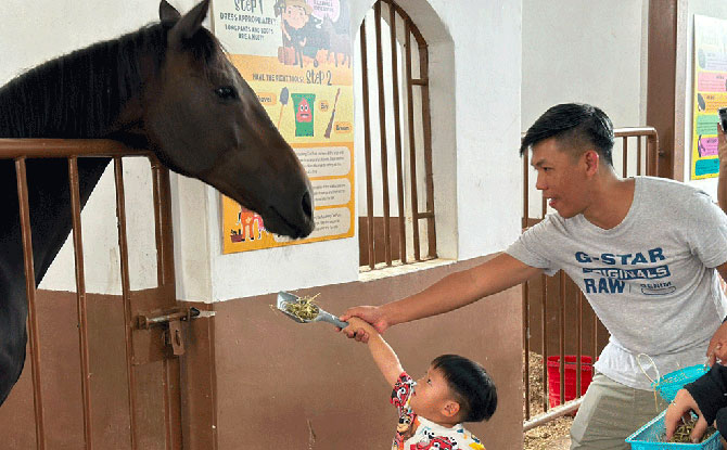 Huat’s In The Neigh-bourhood! Celebrate LNY The Huat Way At HDB Malls Near You From 31 Jan to 15 Feb 1 Highlights at Huat’s in the Neigh-bourhood! - Meet and Pet a Pony