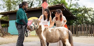 Things To Do This Weekend In Singapore: 21 & 22 February 2026