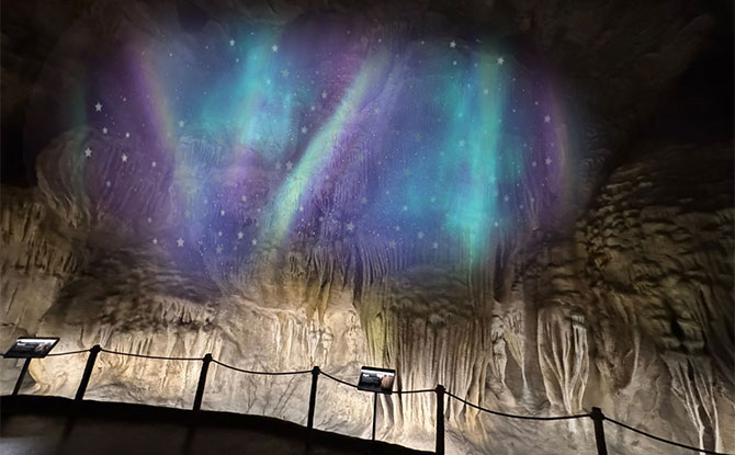 Festive WILD-erland: Celebrate The Christmas Season At Bird Paradise & Rainforest Wild Asia From 15 Nov To 4 Jan 3 What's on at Rainforest Wild Asia for Festive WILD-erland