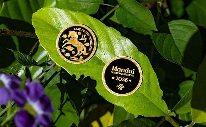 Have A Horse-picious Chinese New Year 2026 At Singapore Zoo & Other Wildlife Parks 1 Be the First 188 Visitors at the Attractions to Receive a Special Keepsake