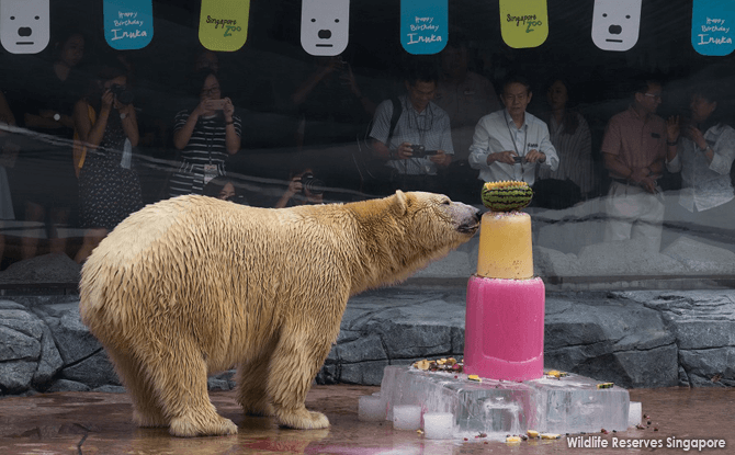 Singapore Zoo