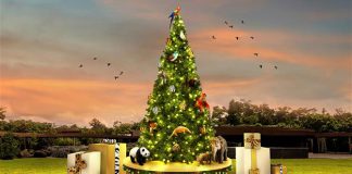Festive WILD-erland: Celebrate The Christmas Season At Bird Paradise & Rainforest Wild Asia From 15 Nov To 4 Jan