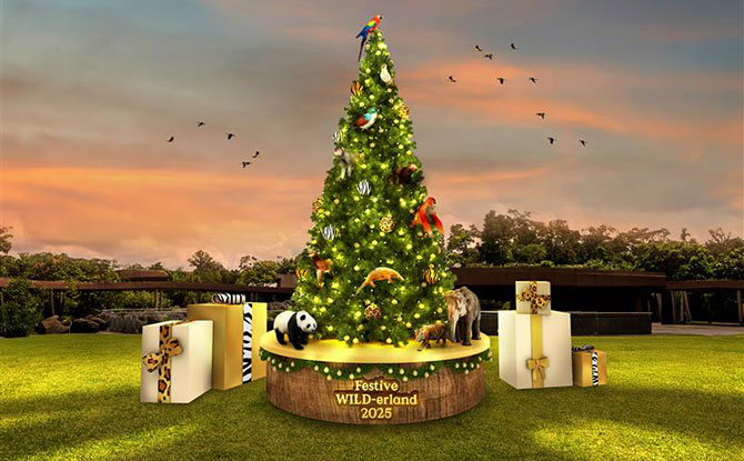 Festive WILD-erland: Celebrate The Christmas Season At Bird Paradise & Rainforest Wild Asia From 15 Nov To 4 Jan