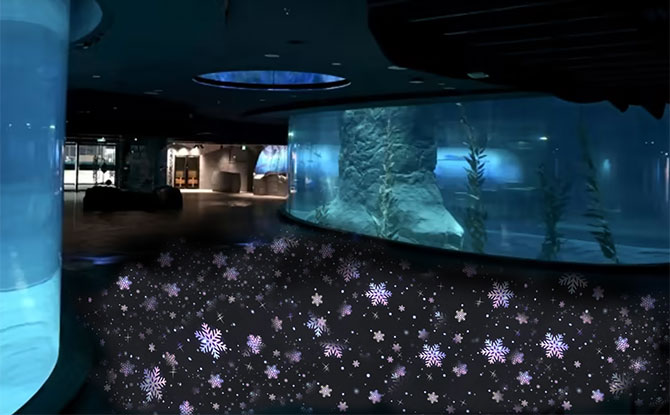 What's on at Bird Paradise for Festive WILD-erland