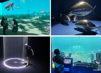 Into The Ocean At ArtScience Museum: Journey Beneath The Waves Across 6 Zones Into the Ocean At ArtScience Museum: Journey Beneath The Waves Across 6 Zones