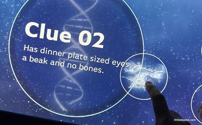 Into The Ocean At ArtScience Museum: Journey Beneath The Waves Across 6 Zones 1 Into the Ocean Exhibition at ArtScience Museum