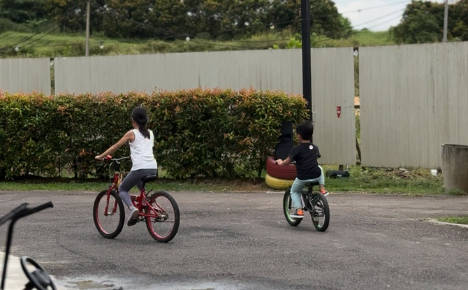 JB ecospringpalladium 07