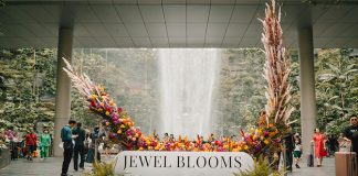 Jewel Blooms: Splendours of Singapore At Jewel Changi Aiport