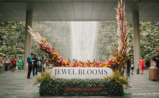 Jewel Blooms: Splendours of Singapore At Jewel Changi Aiport