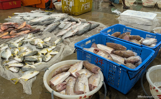 A Multisensory Experience