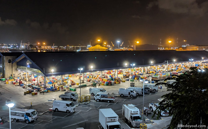 Highlights Of Jurong Fishery Port Tour By Hidden Heritage 