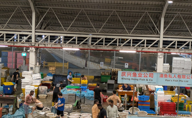 Jurong Fishery Port 08