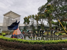 kinetic garden science centre
