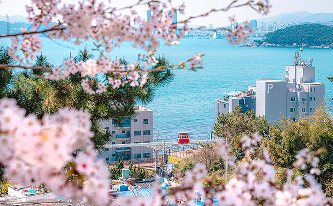 Things To Do This Weekend In Singapore: 7 & 8 March 2026 9 Korea Travel Fair 2026