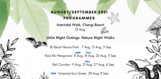 Little Day Out Programmes in August & September 2021