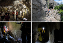 6 Highlights Of Wild Cavern Adventure At Rainforest Wild Asia