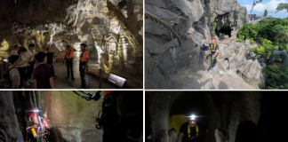 6 Highlights Of Wild Cavern Adventure At Rainforest Wild Asia