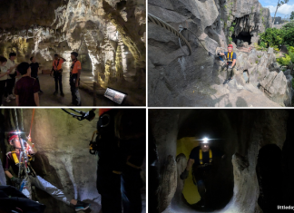 6 Highlights Of Wild Cavern Adventure At Rainforest Wild Asia