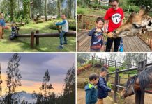 East Java Holiday With Kids