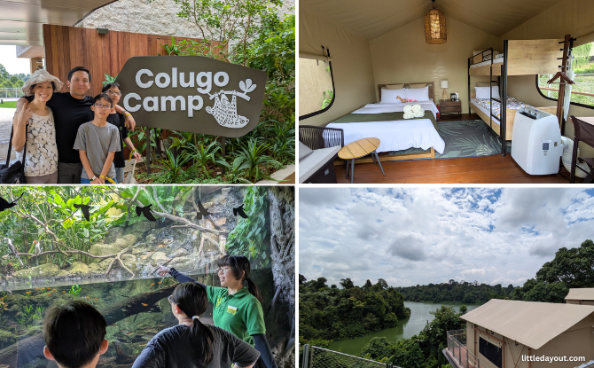 Colugo Camp Family Review: Glamping In Mandai