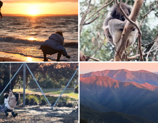 10D9N Melbourne Family Adventure: Nature, Wildlife & Snow