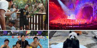 Guangzhou Chimelong Resort's Parks: Family Review