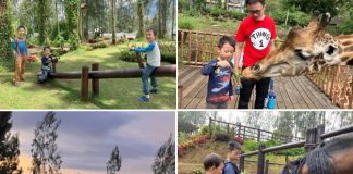 East Java Holiday With Kids
