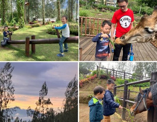 East Java Holiday With Kids