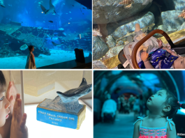 S.E.A Aquarium: Guide To Marine Life Wonders With The Kids [Updated Guide 2025]