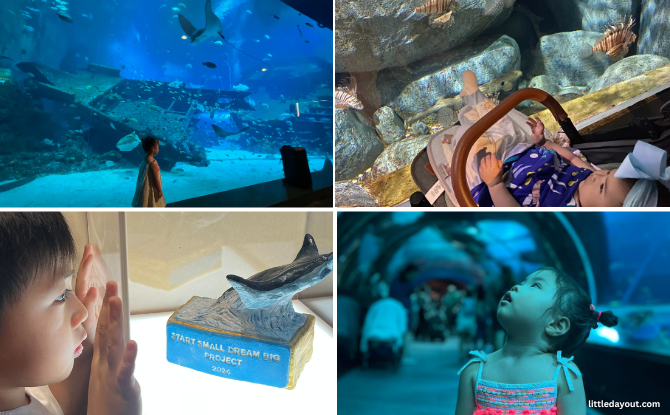 S.E.A Aquarium: Guide To Marine Life Wonders With The Kids [Updated Guide 2025]