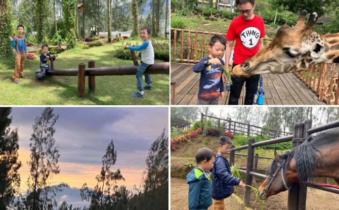 East Java Holiday With Kids East Java Holiday With Kids