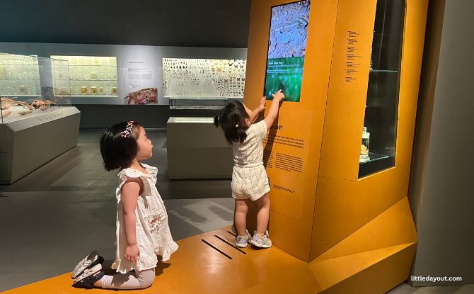 Join PAW Patrol On A Fun-Filled Museum Adventure At Lee Kong Chian Natural History Museum 3 The entire museum is enveloped in quiet tranquility with low ambient lights and thoughtfully placed spotlights on larger-than-life statement skeletal exhibits such as the sperm whale or the jaws of a shark.