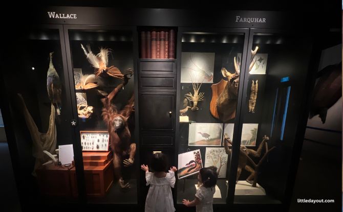Join PAW Patrol On A Fun-Filled Museum Adventure At Lee Kong Chian Natural History Museum 10 Rediscover Heritage Species with Cabinet of Curiosities at L1M