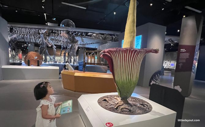 Join PAW Patrol On A Fun-Filled Museum Adventure At Lee Kong Chian Natural History Museum 4 Plants, Fungi Zone