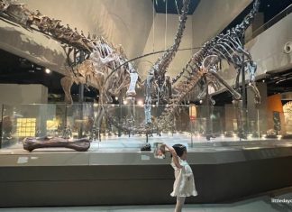 Join PAW Patrol On A Fun-Filled Museum Adventure At Lee Kong Chian Natural History Museum LKCNHM Paw Patrol 5