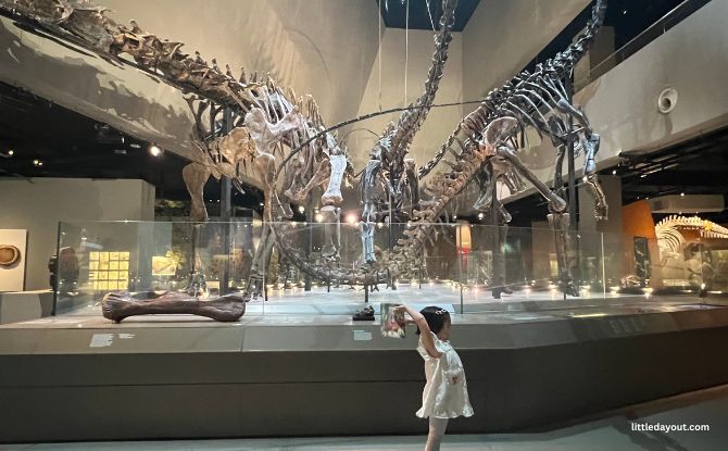 LKCNHM Paw Patrol 5